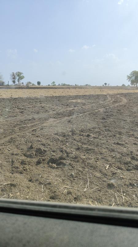  Agricultural Land 5 Acre for Sale in Berasia Road, Bhopal