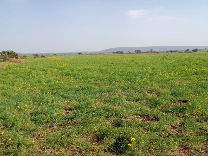  Agricultural Land 3 Acre for Sale in Ratibad, Bhopal