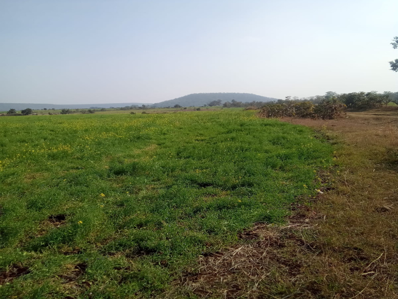  Agricultural Land 3 Acre for Sale in Ratibad, Bhopal