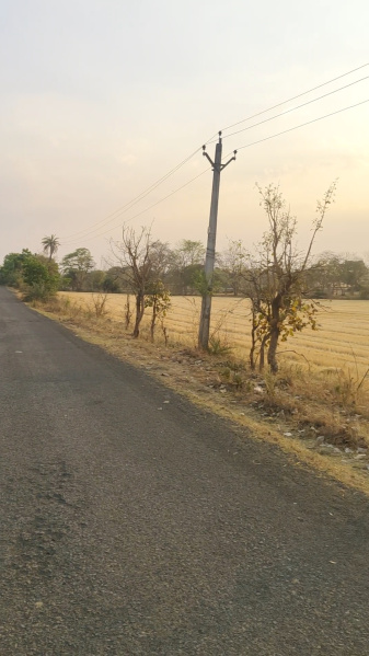  Agricultural Land 3 Acre for Sale in Ratibad, Bhopal