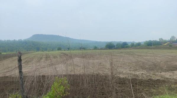  Agricultural Land 10 Acre for Sale in Sultanpur, Raisen