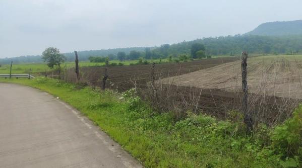  Agricultural Land 10 Acre for Sale in Sultanpur, Raisen