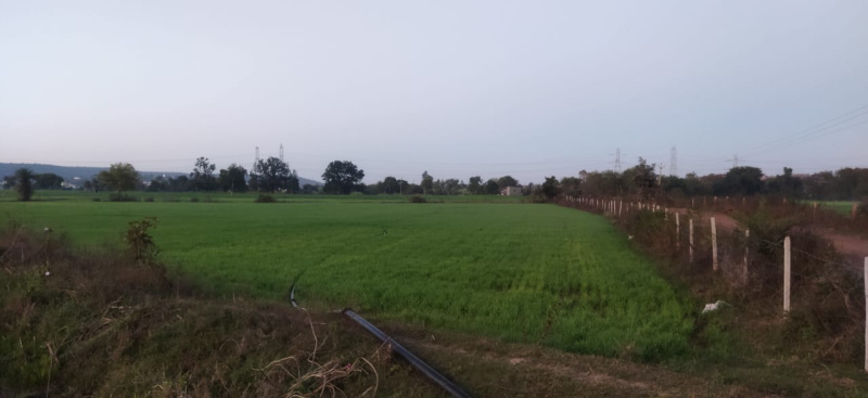  Agricultural Land 20 Acre for Sale in Sultanpur, Raisen