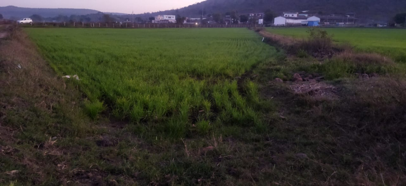  Agricultural Land 20 Acre for Sale in Sultanpur, Raisen