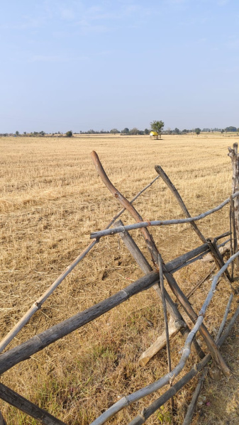  1 Acre Agricultural/Farm Land for Sale in Bilkisganj, Sehore