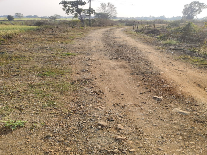  1 Acre Agricultural/Farm Land for Sale in Bilkisganj, Sehore