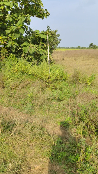  41382 Sq.ft. Residential Plot for Sale in Kolar Road, Bhopal