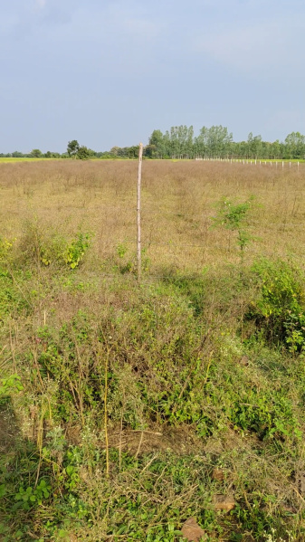  41382 Sq.ft. Residential Plot for Sale in Kolar Road, Bhopal