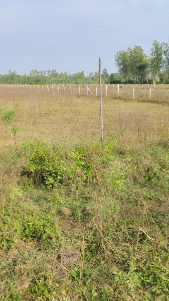  41382 Sq.ft. Residential Plot for Sale in Kolar Road, Bhopal