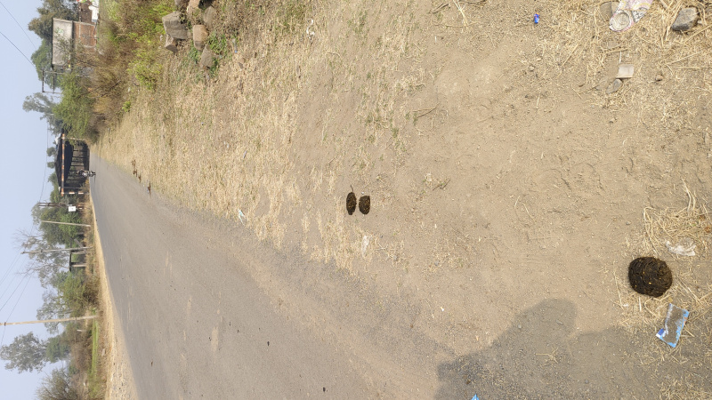  4 Acre Agricultural/Farm Land for Sale in Obedullaganj, Raisen