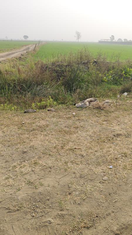  4 Acre Agricultural/Farm Land for Sale in Obedullaganj, Raisen