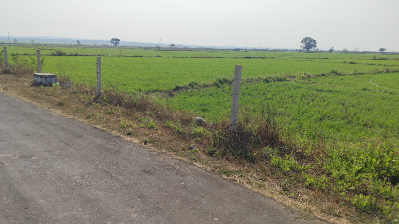  4 Acre Agricultural/Farm Land for Sale in Goharganj, Raisen