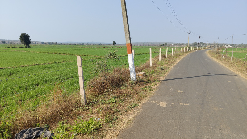  4 Acre Agricultural/Farm Land for Sale in Goharganj, Raisen