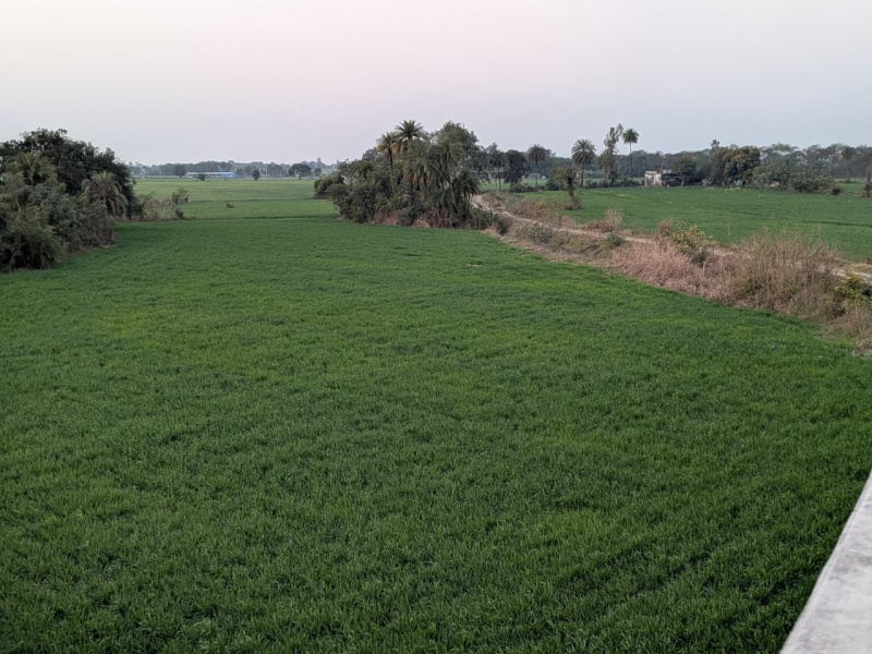  10000 Sq.ft. Agricultural/Farm Land for Sale in Sehore Road, Bhopal
