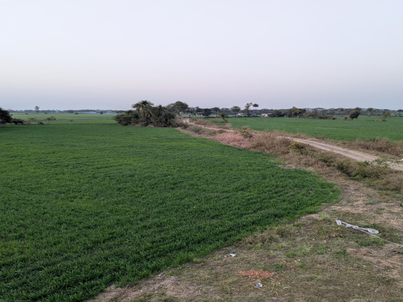  10000 Sq.ft. Agricultural/Farm Land for Sale in Sehore Road, Bhopal
