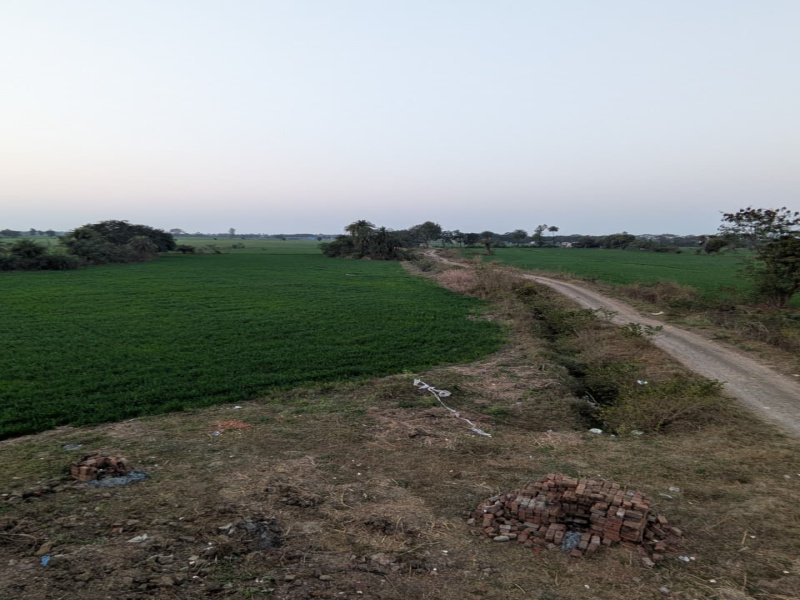  10000 Sq.ft. Agricultural/Farm Land for Sale in Sehore Road, Bhopal