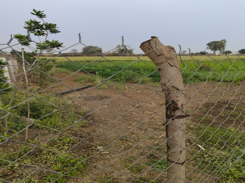  1 Acre Agricultural/Farm Land for Sale in Ratibad, Bhopal