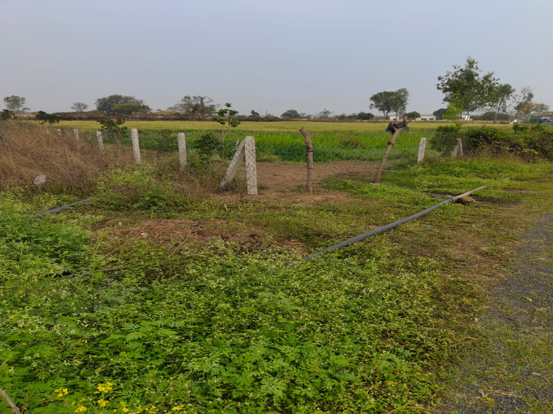  1 Acre Agricultural/Farm Land for Sale in Ratibad, Bhopal