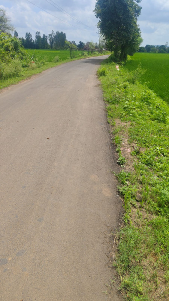  1 Acre Agricultural/Farm Land for Sale in Sehore Road, Bhopal