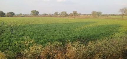  Agricultural Land for Sale in Gulabganj, Vidisha