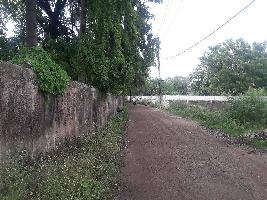 1 Acre Agricultural Land for Sale in Bhadbhada Road, Bhopal