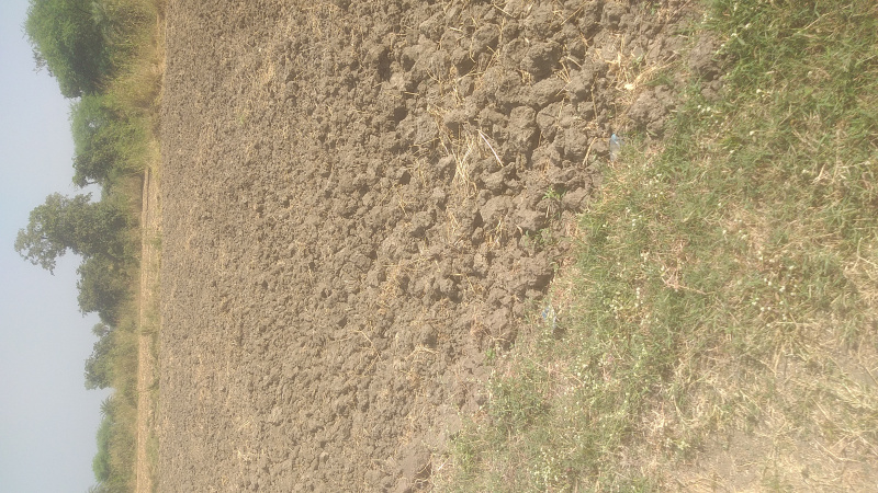  Agricultural Land 6 Acre for Sale in Ichhawar, Sehore