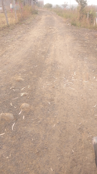  Agricultural Land 80 Acre for Sale in Ichhawar, Sehore