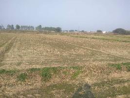  Agricultural Land for Sale in Kharar, Mohali