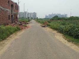  Residential Plot for Sale in Sector 12, Greater Noida