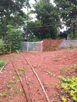  Residential Plot for Sale in Melechowa South, Kannur