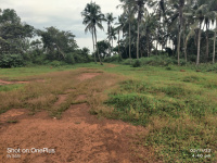  Residential Plot for Sale in Pappinisseri, Kannur