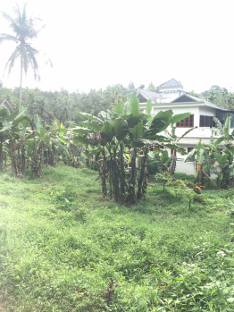  Residential Plot for Sale in Mukkam, Kozhikode