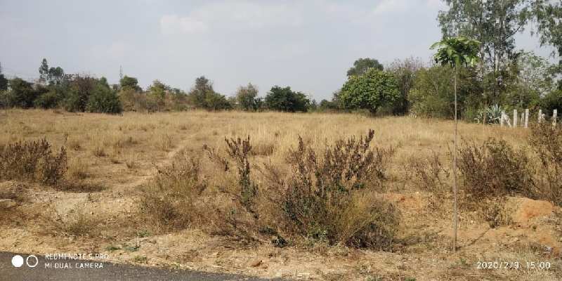 Agricultural Land 53000 Sq.ft. for Sale in