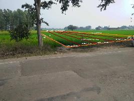  Agricultural Land for Sale in Sikriganj, Gorakhpur