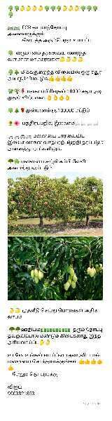  Agricultural Land 10000 Sq.ft. for Sale in Ecr To Marakanam Road, Chennai