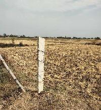  Agricultural Land for Sale in Koraon, Allahabad