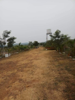  Agricultural Land for Sale in Charganwa Road, Tilwara, Jabalpur, Jabalpur