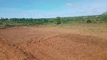  Agricultural Land for Sale in Malavalli, Mandya