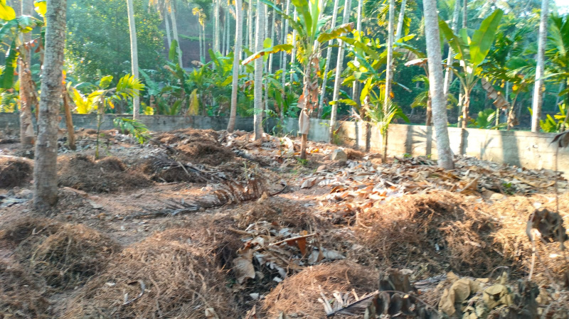  Residential Plot 23 Cent for Sale in Pothencode, Thiruvananthapuram