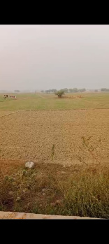  Agricultural Land for Sale in Allahabad Varanasi Road