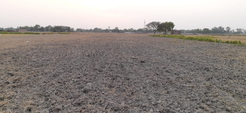  Residential Plot 21760 Sq.ft. for Sale in Sindhora Road, Varanasi