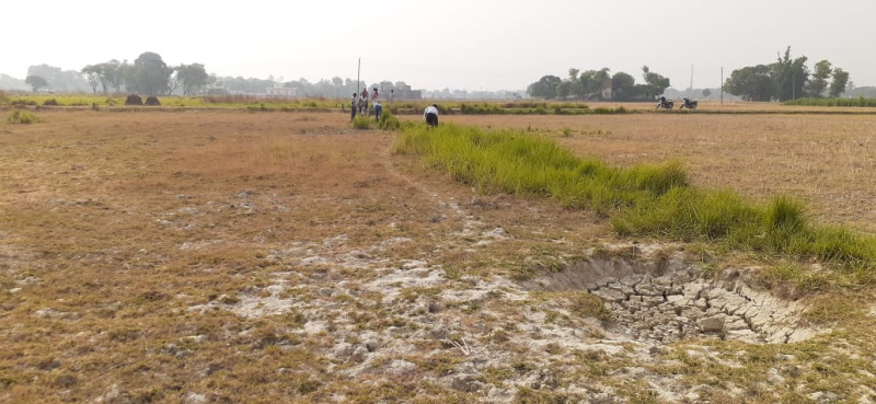  Residential Plot 21760 Sq.ft. for Sale in Sindhora Road, Varanasi