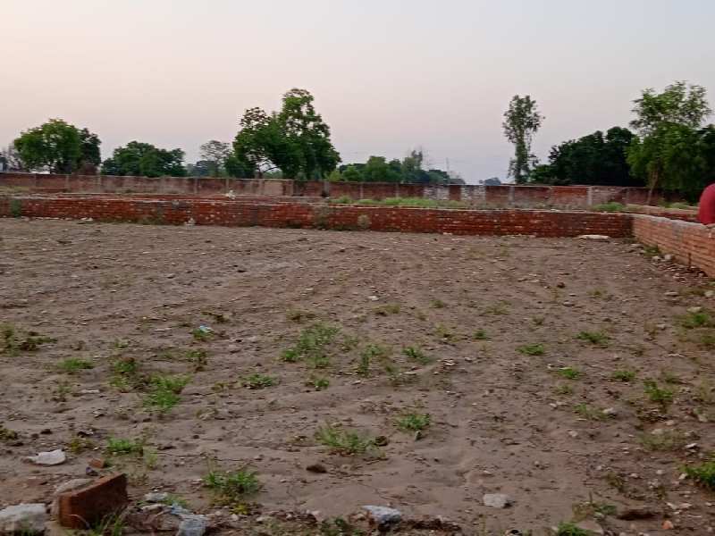  Residential Plot 1000 Sq.ft. for Sale in Gopiganj, Sant Ravidas Nagar