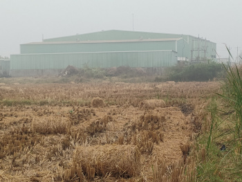  Industrial Land for Sale in Gannavaram, Krishna