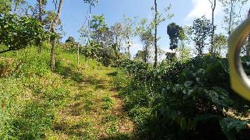  Agricultural Land for Sale in Coorg, Mysore