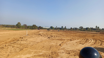  Commercial Land for Sale in Naraingarh, Ambala