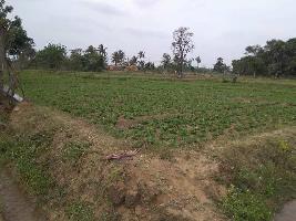  Agricultural Land for Sale in Vadavalam, Pudukkottai