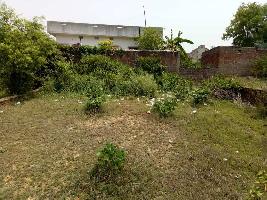  Agricultural Land for Sale in Bokaro Steel City