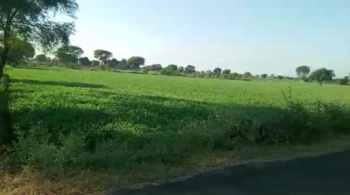  Agricultural Land for Sale in Mirganj, Bareilly