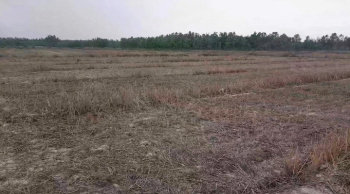  Agricultural Land for Sale in Brijghat, Moradabad
